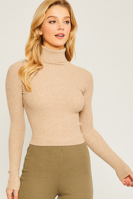 Turtleneck Ribbed Knit Sweater Top Luvéillé