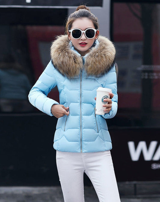 Short Slim Fit Fur Collar Jacket