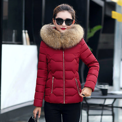 Short Slim Fit Fur Collar Jacket