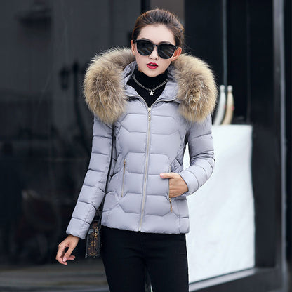 Short Slim Fit Fur Collar Jacket