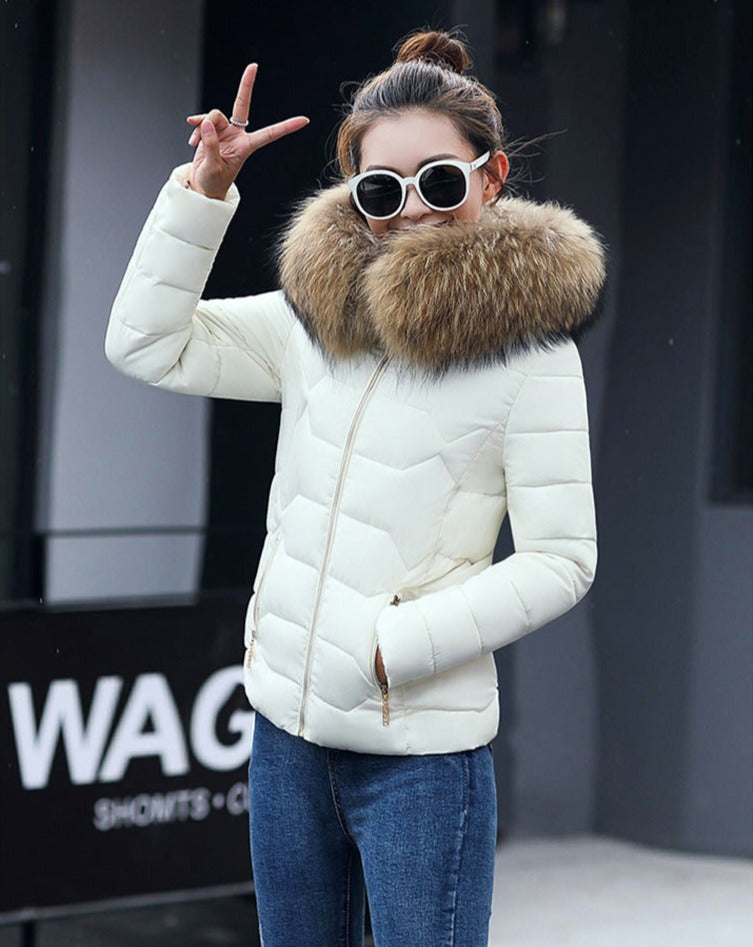 Short Slim Fit Fur Collar Jacket