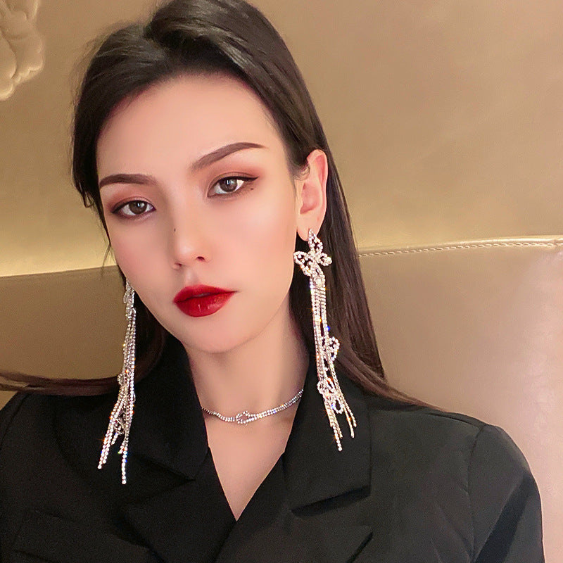 Silver Needle Temperament Diamond Tassel Long Earrings Luvéillé